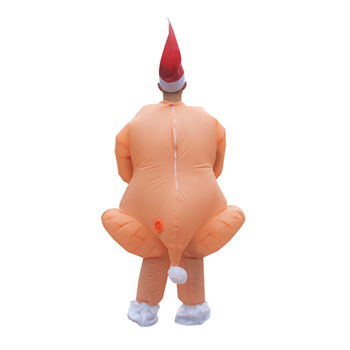 Thanksgiving Turkey Inflatable Costume