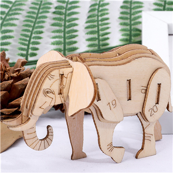 3D Puzzle