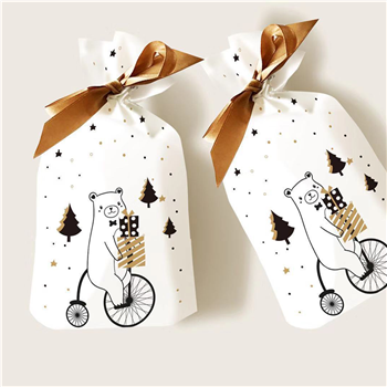 Christmas Gift Bag
