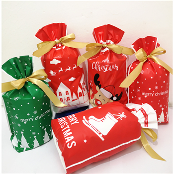 Christmas Gift Bag