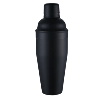 Stainless Steel Shaker Bottle