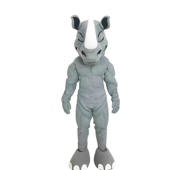 Custom Mascot Costumes