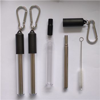 Reusable Stretchable Stainless Steel Straw