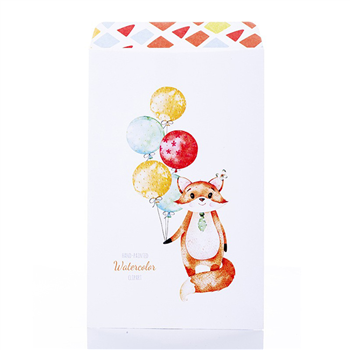 Coin Envelopes
