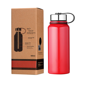 Sports Water Bottle