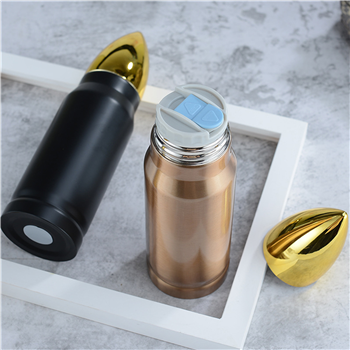 Bullet Water Bottle