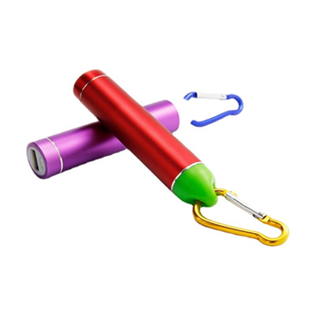 Portable Power Bank with Carabiner