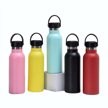 18oz Stainless Steel Bottle with Handle Lid