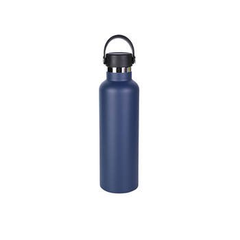 18oz Stainless Steel Bottle with Handle Lid
