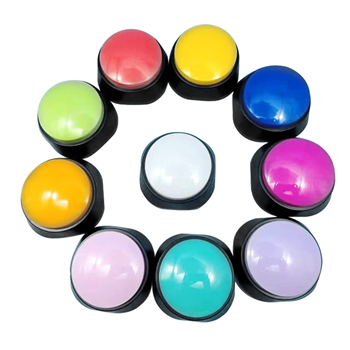 Voice Recording Talking Speaker Button