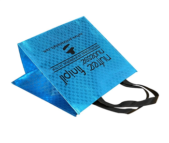 Metallic Gloss Designer Totes