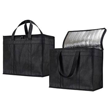 Insulated Reusable Grocery Bag