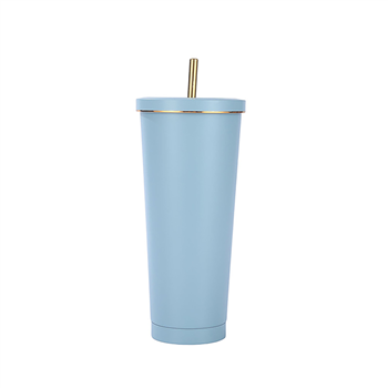 25 OZ Double Wall Insulated Tumbler With Straw