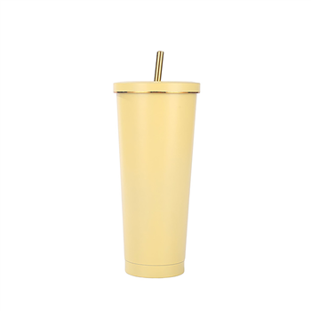 25 OZ Double Wall Insulated Tumbler With Straw