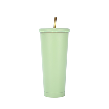 25 OZ Double Wall Insulated Tumbler With Straw