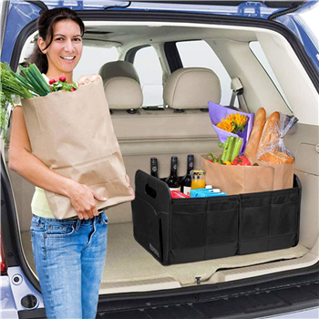 Trunk Organizer for Car
