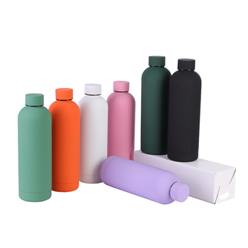 Stainless Steel Water Bottle