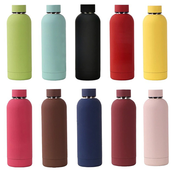 Stainless Steel Water Bottle