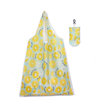 Portable Reusable Shopping Bag