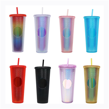 24oz Double Wall Plastic Tumbler