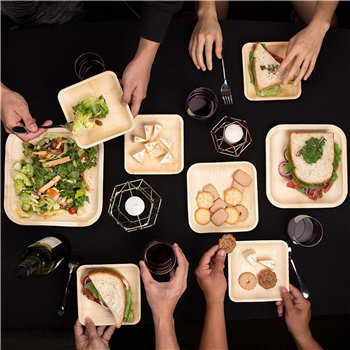 Disposable Square Palm Leaf Plates