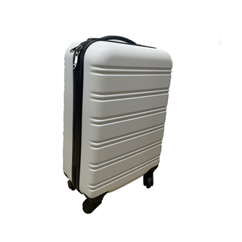 20-Inch Luggage