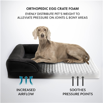 Pet Bed/Dog Sofa