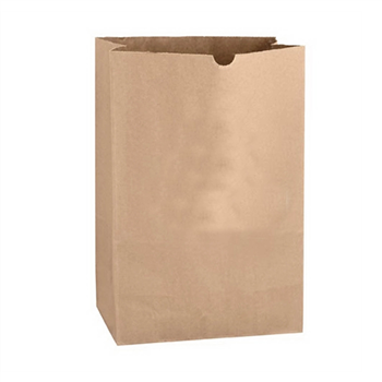 Natural Kraft Paper Bag