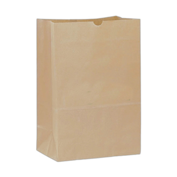 Natural Kraft Paper Bag