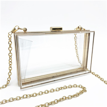 Acrylic Square Crossbody Bag