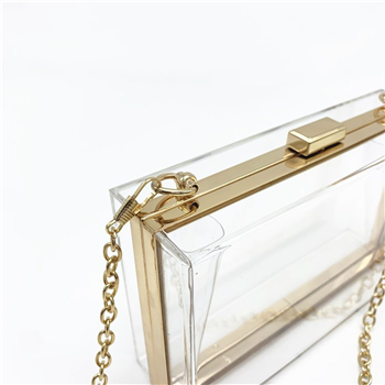 Acrylic Square Crossbody Bag