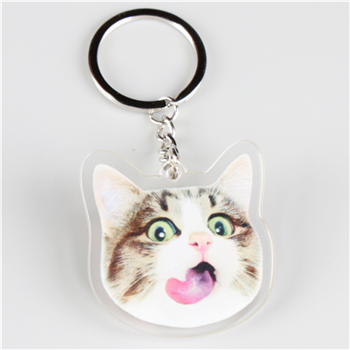 Acrylic Material Key Chain