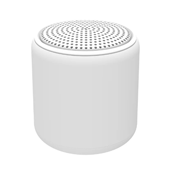 Portable Bluetooth Speaker
