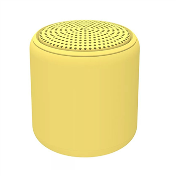 Portable Bluetooth Speaker