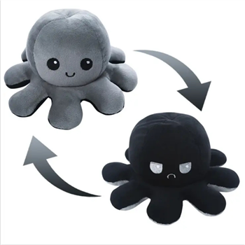 Reversible Plush 