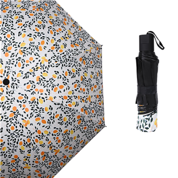 umbrella
