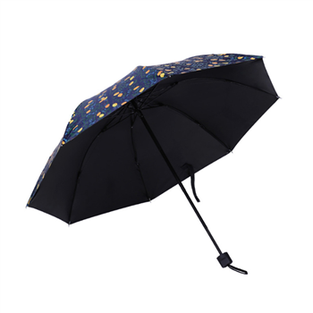 umbrella